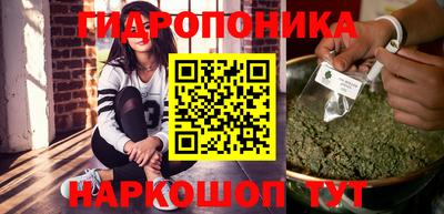 стафф Можга