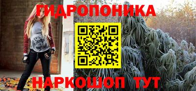 стафф Можга
